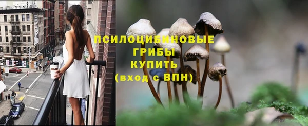apvp Кулебаки