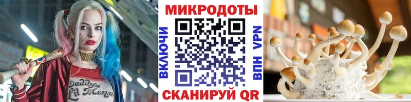 Купить закладки Анадырь Галлюциногенные грибы Psilocybine cubensis
